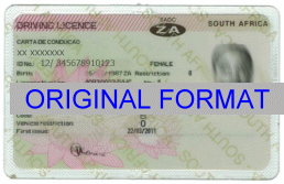 International driving license south africa