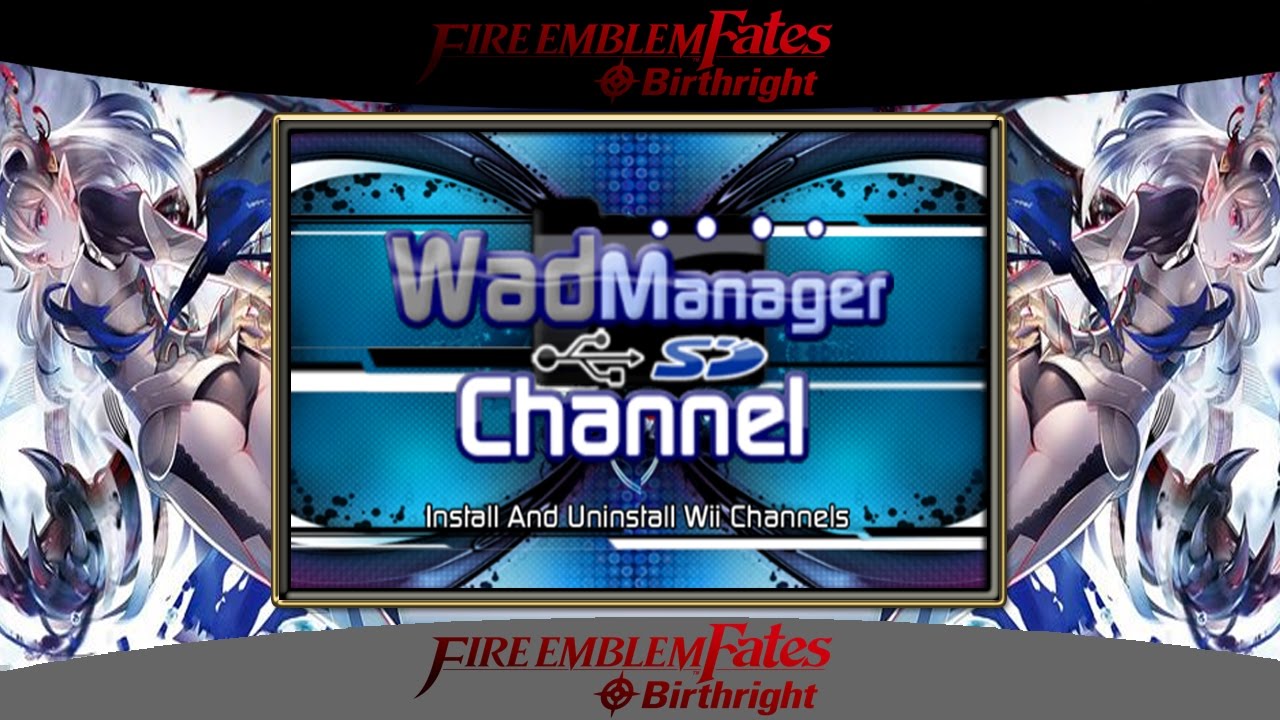 Wii Channel Wad Downloads